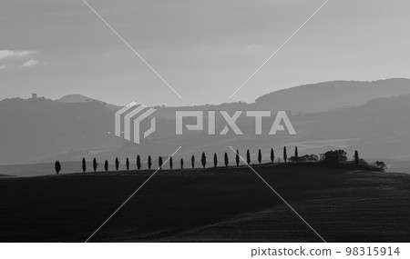 Typical Tuscan morning autumn landscape, Val D'Orcia, Tuscany, Italy 98315914