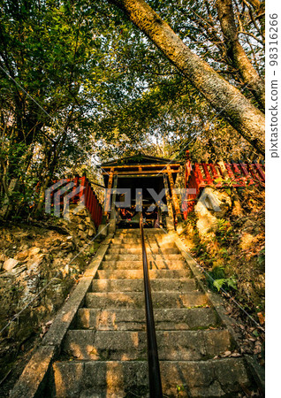 Torii and shrine of Mt. Inari illuminated by the setting sun at twilight in Kyoto Torii and shrine of Mt. Inari illuminated by the setting sun at twilight in Kyoto 98316266