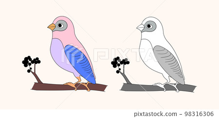 Funny colorful birds, flowers, leaves and berries. Color flat vector illustration with little cartoon bird. Cute characters. Card, postcards for kids Funny colorful birds, flowers, leaves and berries. Color flat vector illustration with little cartoon bird. Cute characters. Card, postcards for kids 98316306