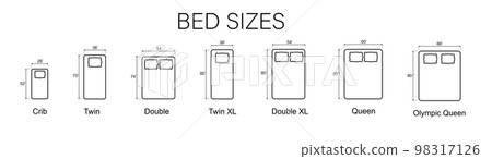 Bed Sizes and Mattress Dimensions . Pictograms depict icons of bed sizes. Vector 98317126