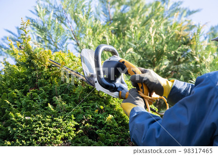 園丁,園丁,園丁,男性 園丁,園丁,園丁,男性 98317465