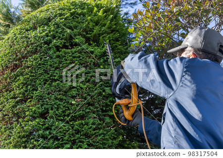 Gardener, gardener, landscaper, male Gardener, gardener, landscaper, male 98317504