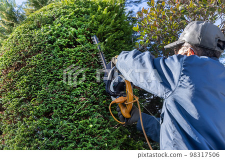 Gardener, gardener, landscaper, male Gardener, gardener, landscaper, male 98317506