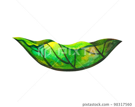 green leaf tree plant eco energy ecology nature power environmental concept save earth concept leaf shape icon logo sign symbol art watercolor painting illustration bio protect green leaf tree plant eco energy ecology nature power environmental concept save earth concept leaf shape icon logo sign symbol art watercolor painting illustration bio protect 98317560