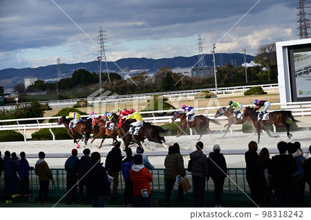 Horse race 98318242