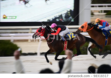 賽馬 賽馬 98318317