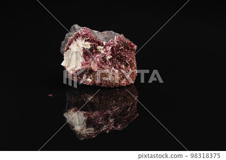 Rough Crimson Erythrite Mineral Stone on Black Rough Crimson Erythrite Mineral Stone on Black 98318375