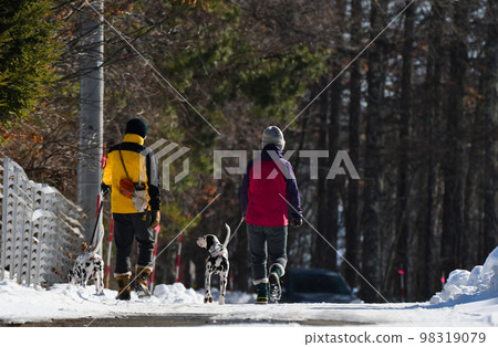 在雪地裡遛狗的人 98319079