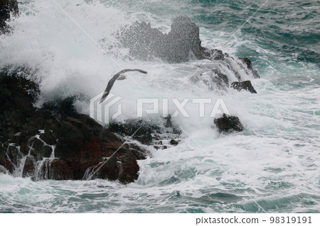 Seabirds flying in the spray of rough seas 98319191