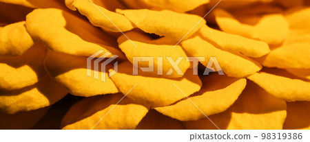 Background of yellow flower petals 98319386