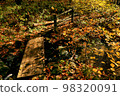 秋天樹路 98320091