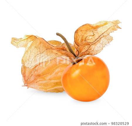 Cape gooseberry, physalis isolated on white background 98320529