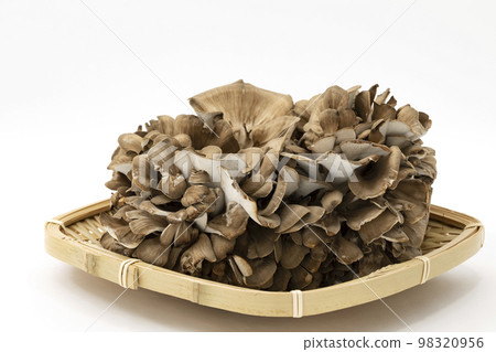 Maitake mushrooms placed in a square colander with a white background 98320956