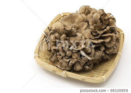 白色背景方形漏勺中放置的舞茸 98320959