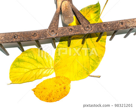 Iron rake for cleaning leaves hand tools. 98321201