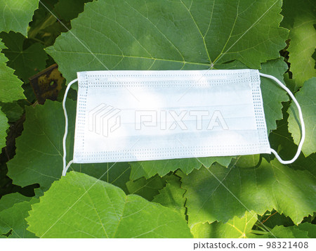 Medical face mask on green vine leaves. Medical face mask on green vine leaves. 98321408