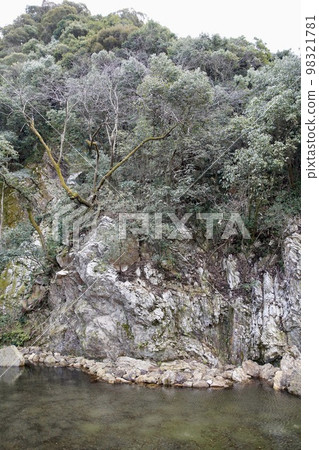 山間溪流岩石和樹木 98321781