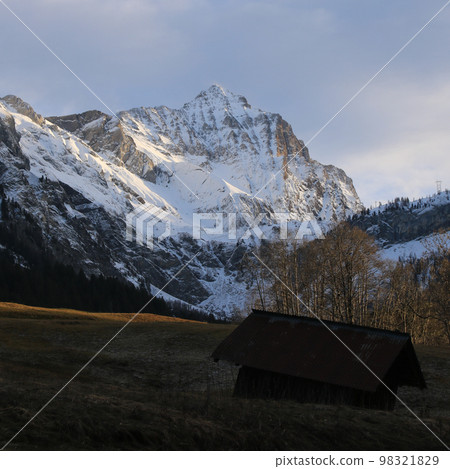 Sun lit meadow and snow covered Mount Arpelistock. Sun lit meadow and snow covered Mount Arpelistock. 98321829