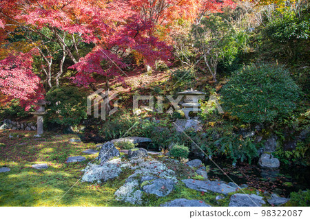 Autumn leaves and moss in Hakuryuen (Kyoto) 98322087