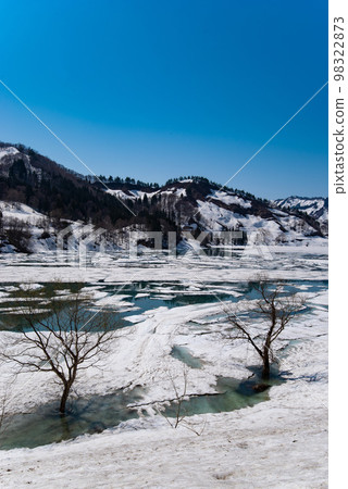 Aburumagawa Dam Snow Flow（新潟縣魚沼市大白川） 98322873