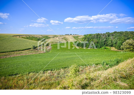 Green Grass Field Landscape with fantastic clouds in the background Green Grass Field Landscape with fantastic clouds in the background 98323099