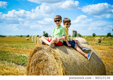 Two little boy stand among round haystack. Field with round bale 98323136