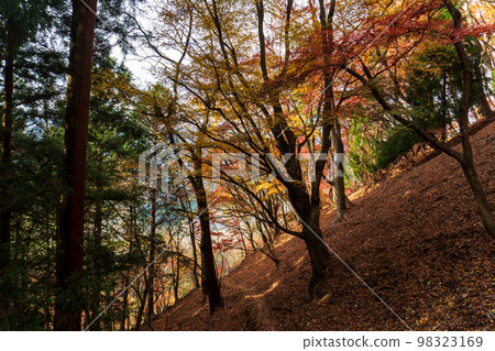 奧武藏的伊豆岳及其周邊地區 98323169