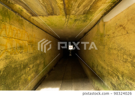 奧武藏的伊豆岳及其周邊地區 98324026