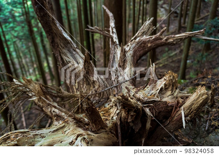 Mt. Izugatake and its surroundings in Oku Musashi 98324058