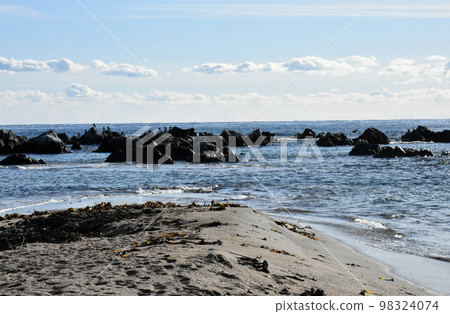 [千葉縣南房總市]白濱町根本海灘 98324074