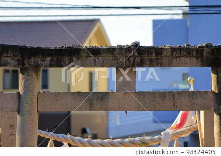 Wishing stone above the torii image 98324405