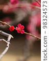 單紅梅 98324573