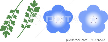 Single nemophila flower set Single nemophila flower set 98326564
