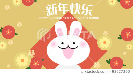 Chinese new year of the rabbit cute bunny smiling 98327290