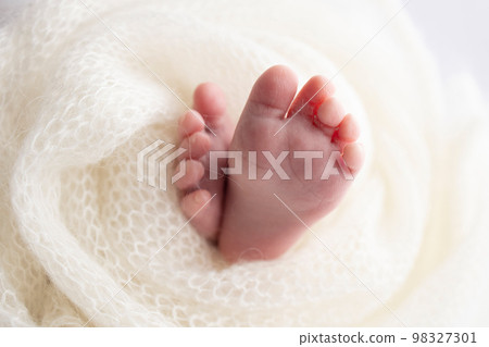 Tiny Fingers and Tiny Toes, Newborn Baby Girl