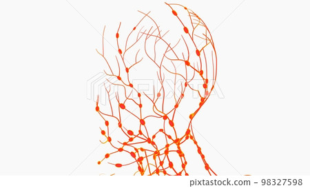Human lymph nodes anatomy for medical concept 3D rendering Human lymph nodes anatomy for medical concept 3D rendering 98327598