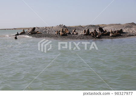 in the land of patagonia in the land of patagonia 98327977