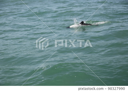 in the land of patagonia 98327990