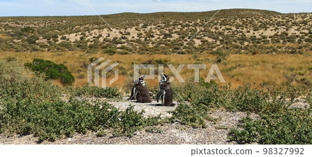 in the land of patagonia 98327992