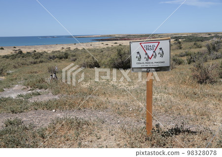 in the land of patagonia in the land of patagonia 98328078