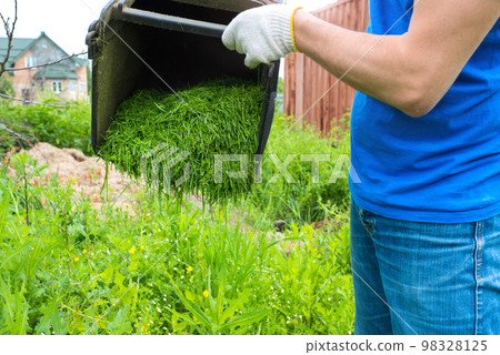 A male gardener with a container with cut grass in his hands, a close-up A male gardener with a container with cut grass in his hands, a close-up 98328125