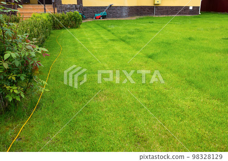 A mowed lawn in the garden, in the backyard of the house A mowed lawn in the garden, in the backyard of the house 98328129