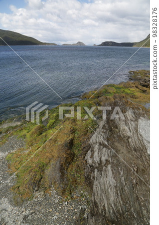 in the land of patagonia in the land of patagonia 98328176