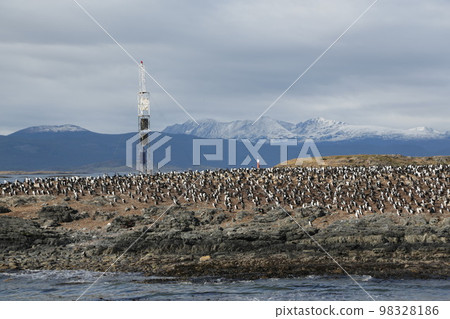 in the land of patagonia in the land of patagonia 98328186