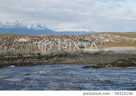 in the land of patagonia in the land of patagonia 98328190