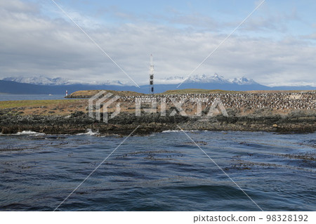 in the land of patagonia in the land of patagonia 98328192