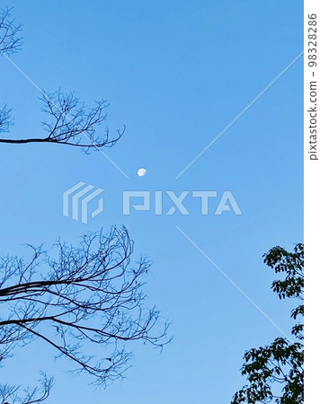 晨月風景 98328286