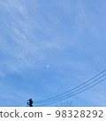 A sky with thin cotton-like clouds gently enveloping the moon 98328292