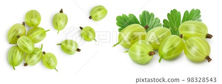 Green gooseberry isolated on white background with full depth of field. Top view. Flat lay 98328543