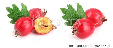 Hawthorn berry with leaf isolated on white background close-up 98328608